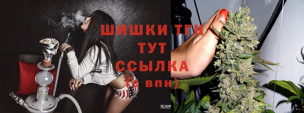 спайс Богородицк