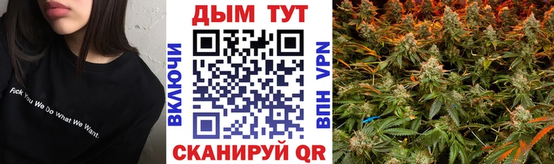 Бошки Шишки планчик  Солнечногорск 